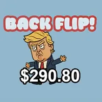 Flip